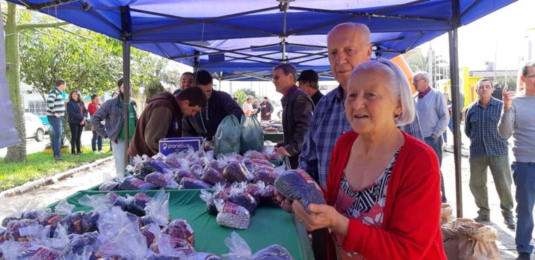 Assentados fazem feira com cerca de 60 variedades de feijão orgânico no RS