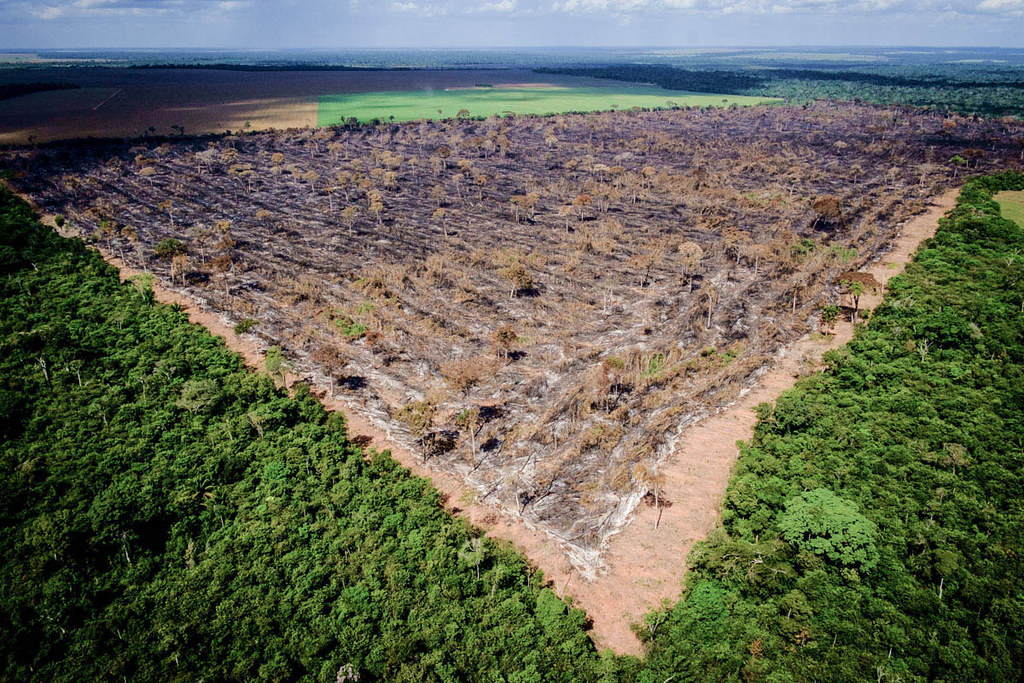 [125] No último mês, a área da Amazônia com alerta de desmatamento subiu 278% em julho de 2019. Foto_ Mayke Toscano_Gcom-MT.jpg
