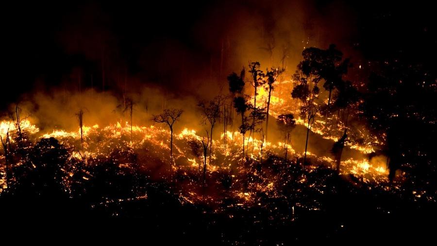[126] Foco de incêndio na Floresta Amazônia em São Félix do Xingu, no Pará, registrado pelo Greenpeace.jpg