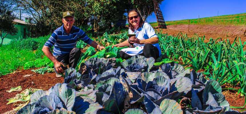 Secretaria da Agricultura assessorava acampados da Macali e Brilhante