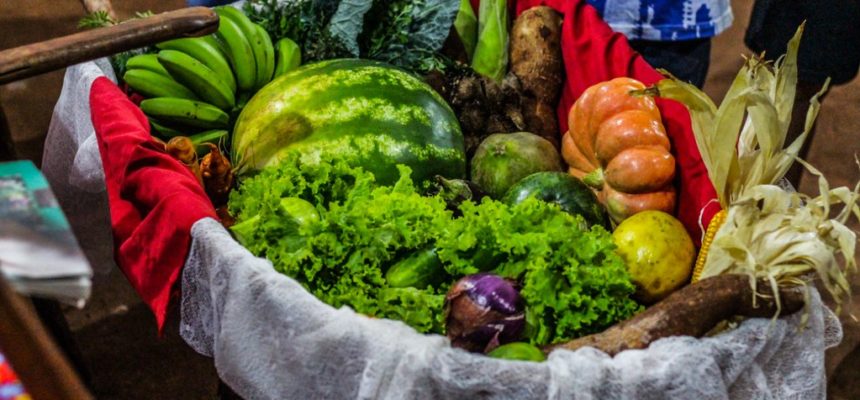 Articulação de agroecologia realiza Levante Popular na Amazônia