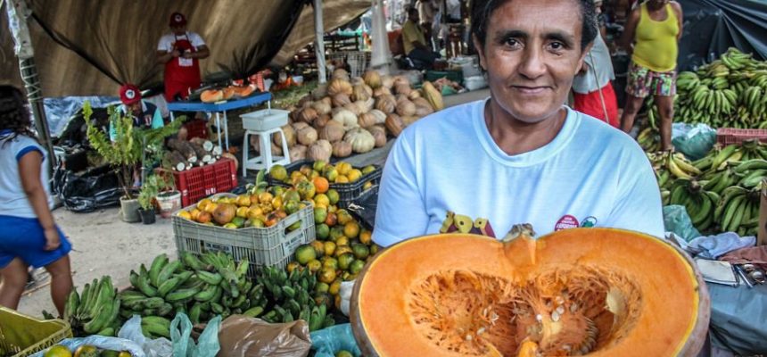“A Reforma Agrária é determinante para a soberania alimentar”