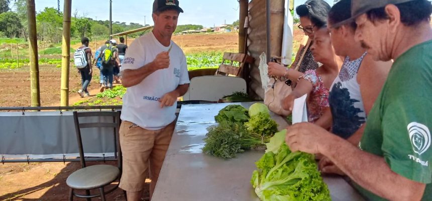 Cooperativa do MST realiza atividade no dia mundial da alimentação no Paraná