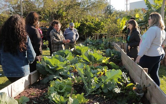Lei faz de Florianópolis a 1ª cidade do Brasil livre de agrotóxicos