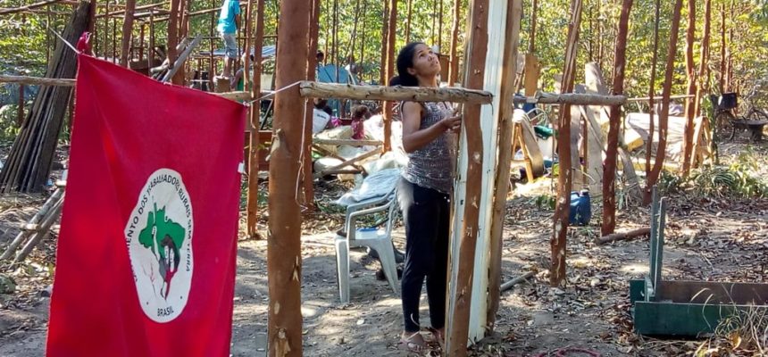 Sem Terra ocupam latifúndio de eucalipto e denunciam destruição ambiental do ES