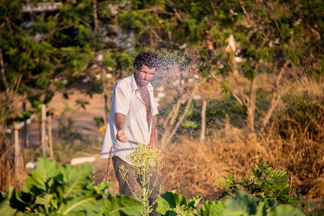 Terra Crioula: cesta da reforma agrária terá primeira edição no norte fluminense