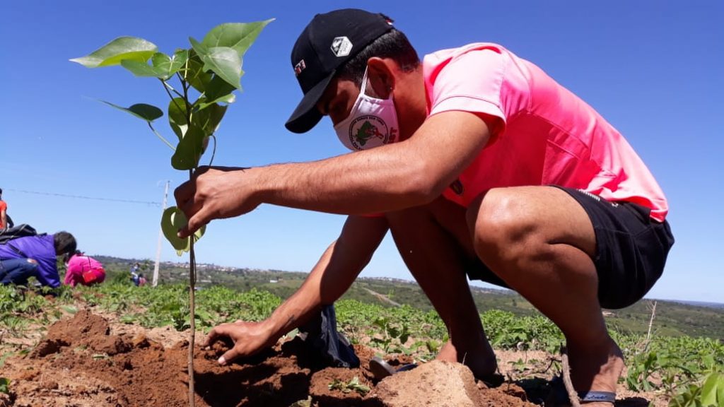Juventude Sem Terra marca Semana da Agricultura com plantio de árvores