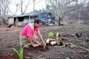 Após despejos e ameaças, Sem Terra têm decisão favorável da Justiça pela reforma agrária – e governo não cumpre