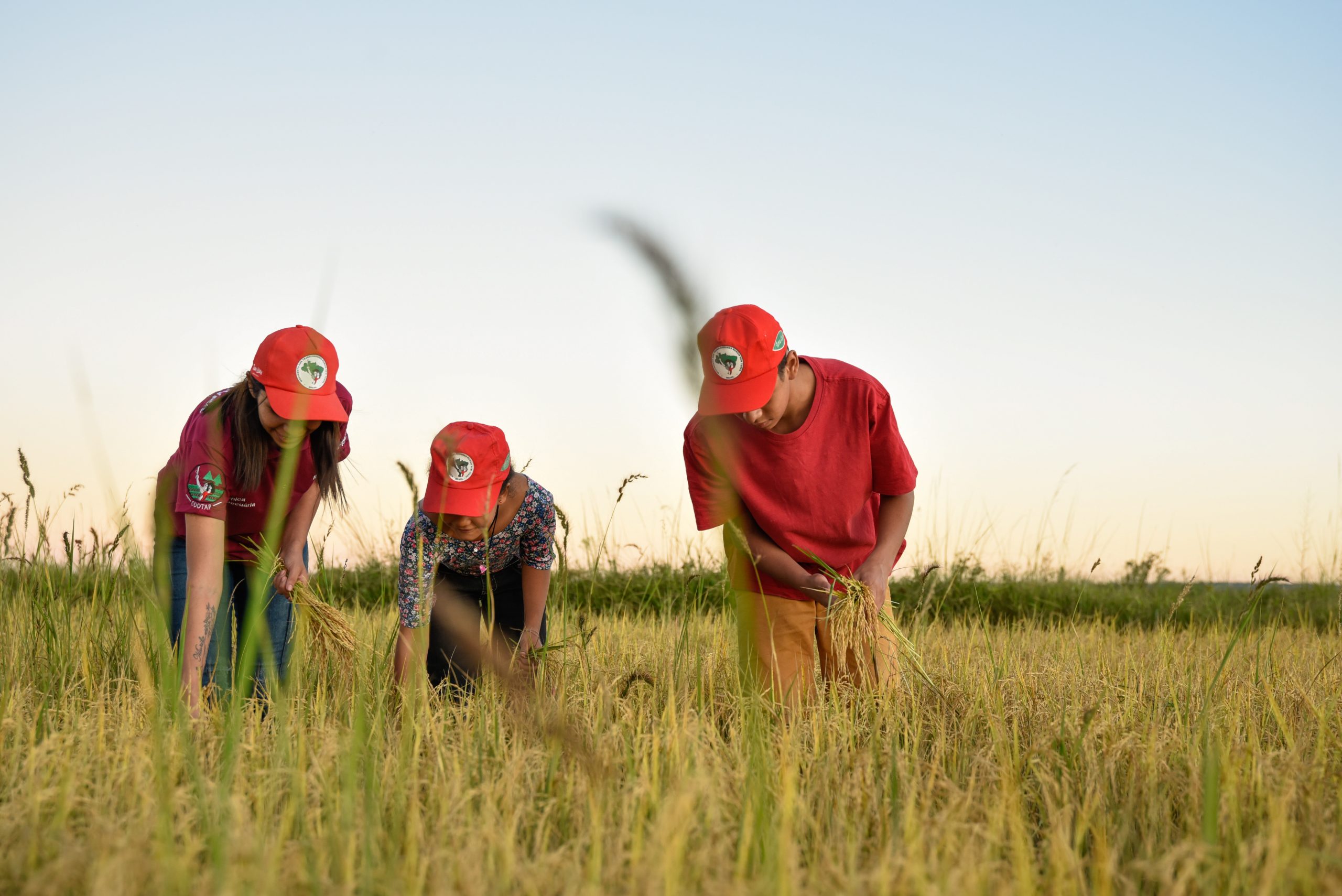 Cooperativa Terra Livre busca investimento para avançar na agroecologia e comercialização