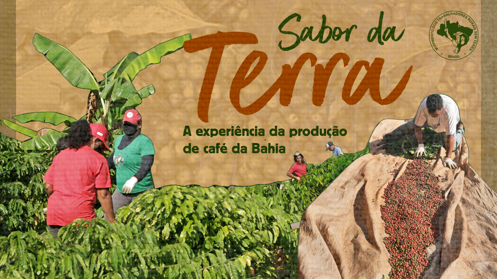 Sabor da Terra: A experiência da produção de café da Bahia