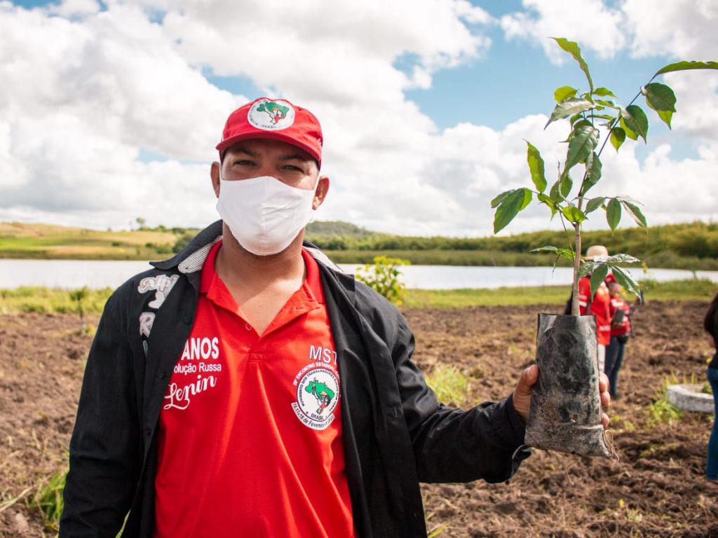 Sem Terra já plantaram 4 milhões de árvores pelo Brasil