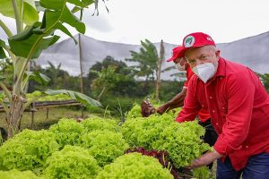 Lula reconhece importância do MST na produção de alimentos saudáveis