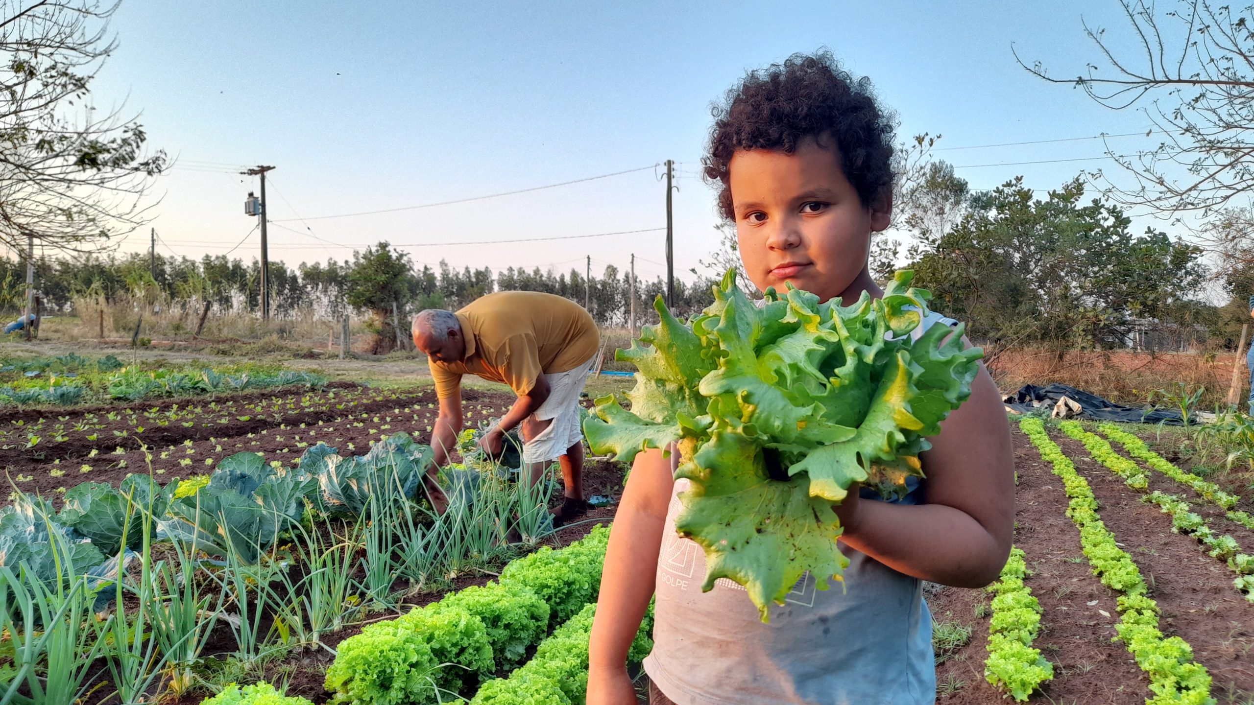 Do campo ao prato: a disputa pelo futuro da alimentação escolar e infantil no Brasil
