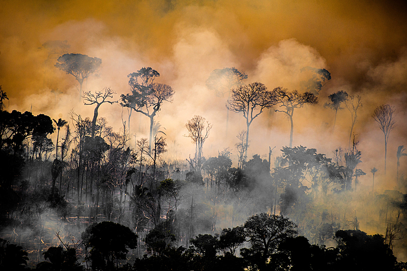 Com Bolsonaro, desmatamento na Amazônia cresce 150%, pior marca já registrada pelo Imazon