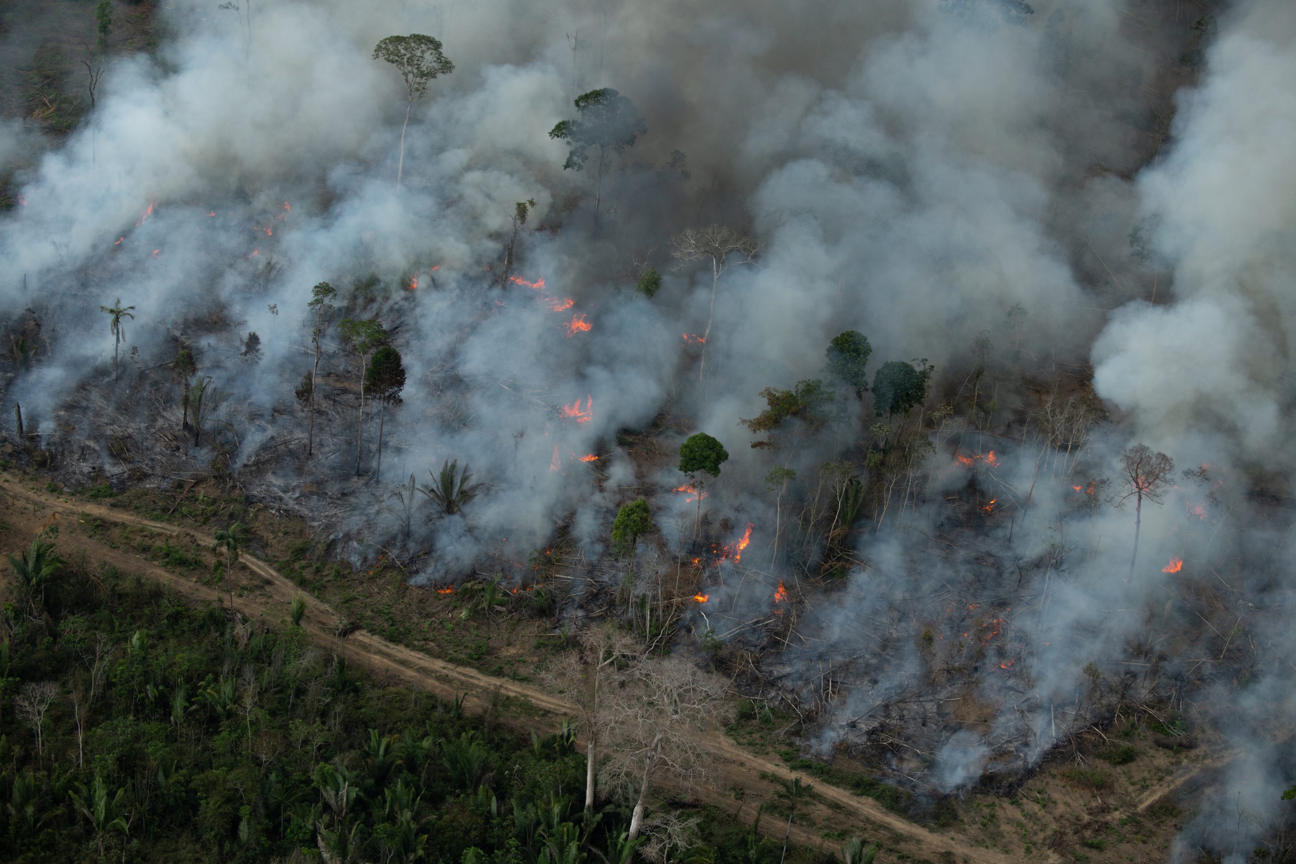 Série mostra poder da água, fogo, terra e ar - Cultura - Estado de Minas