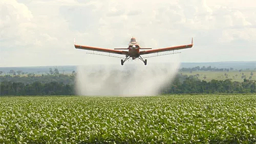 Agrotóxicos jogados por avião intoxicam moradores, nascentes e