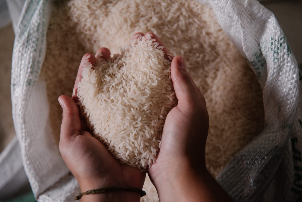 Mãos de uma pessoa segurando arroz, com saco de arroz ao fundo.