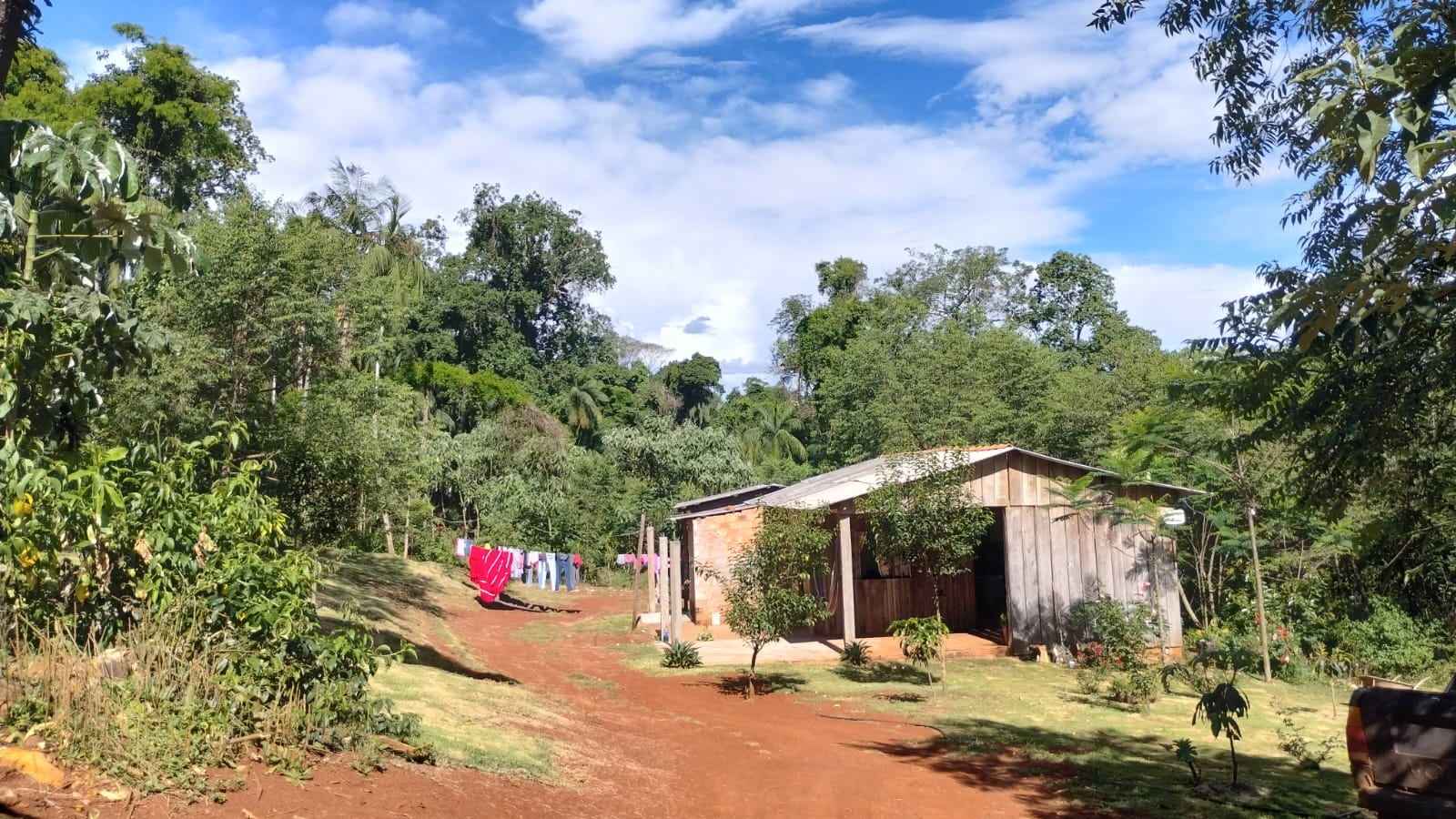 Reforma Agrária Popular para restaurar a Mata Atlântica