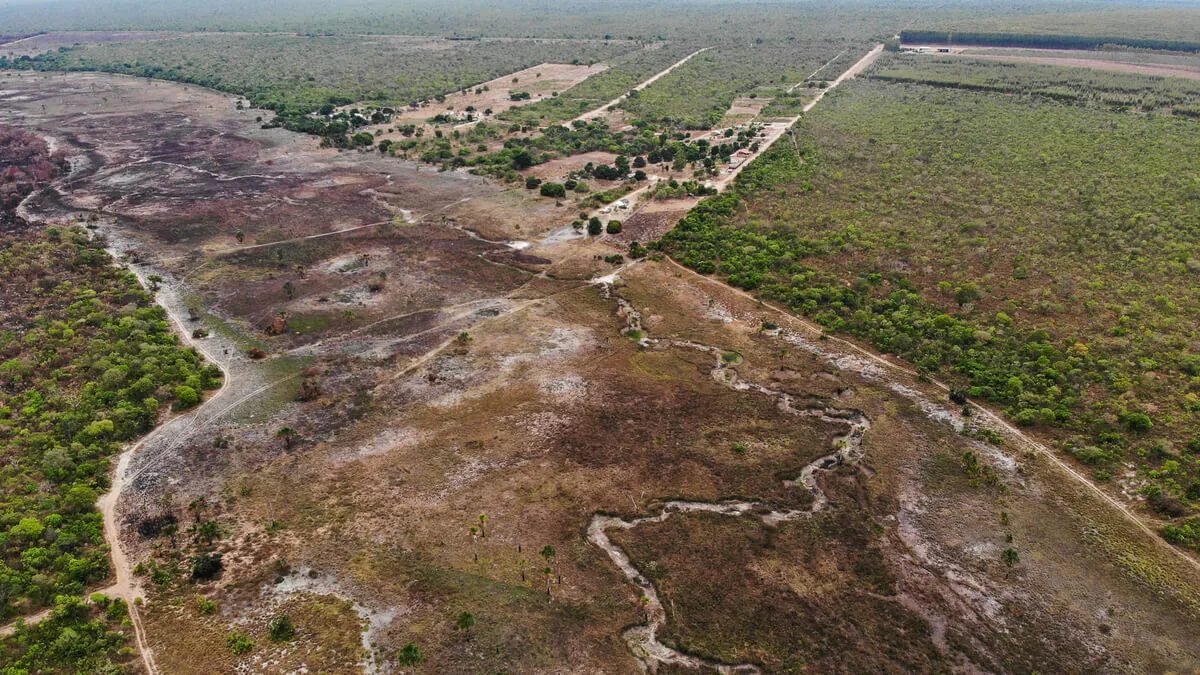 Fácil' e 'legal', desmatamento no Cerrado bate recorde e avança sem  resistência - MST