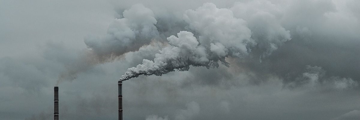 Vendas de ar: fraude e violência em mercados de carbono | Artigo de Silvia Ribeiro
