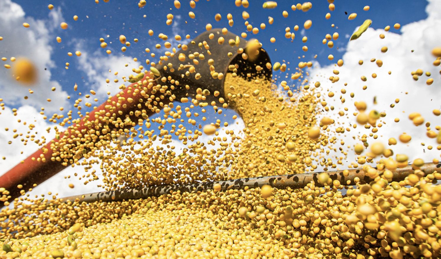 Renúncia fiscal: soja recebe quase R$ 60 bi ao ano, o dobro da cesta básica