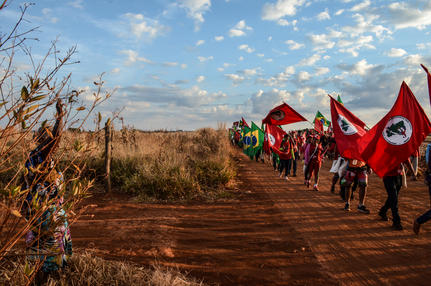 Cerrado, terra e territórios: a luta de um povo que floresce mesmo diante das realidades áridas