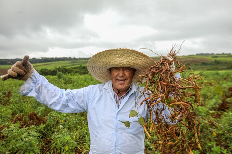 Chico César é atração na Feira Maranhense da Agricultura Familiar – Zeca  Soares