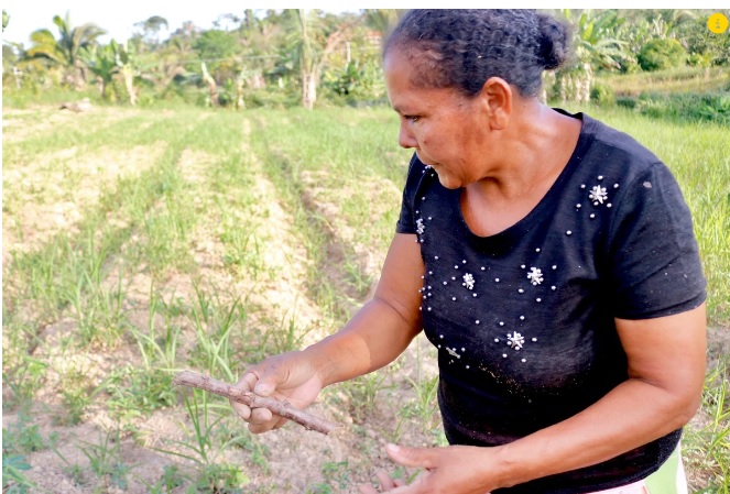 Oprimidos pela mineração, camponeses lamentam: ‘dói viver sem água em pleno Pará’
