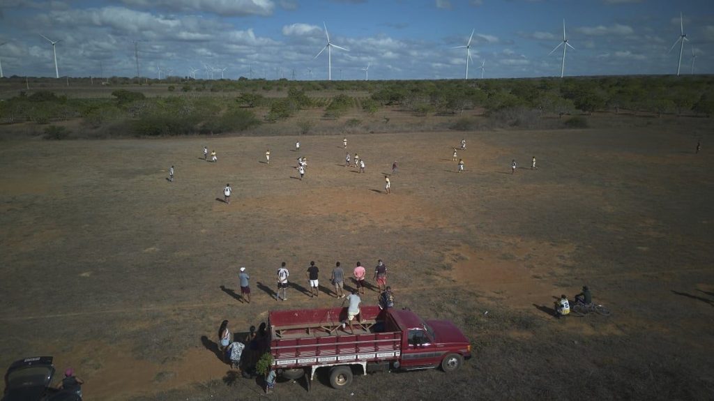 Flona e Parque Nacional de Brasília vão a leilão. Entenda o que muda