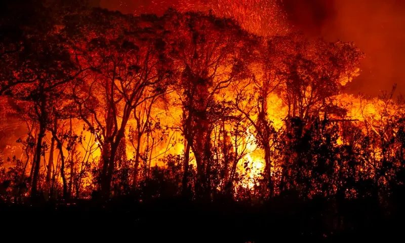 Pantanal poderá ter crise hídrica histórica em 2024, aponta estudo