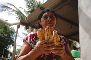 fome mulheres agrícolar