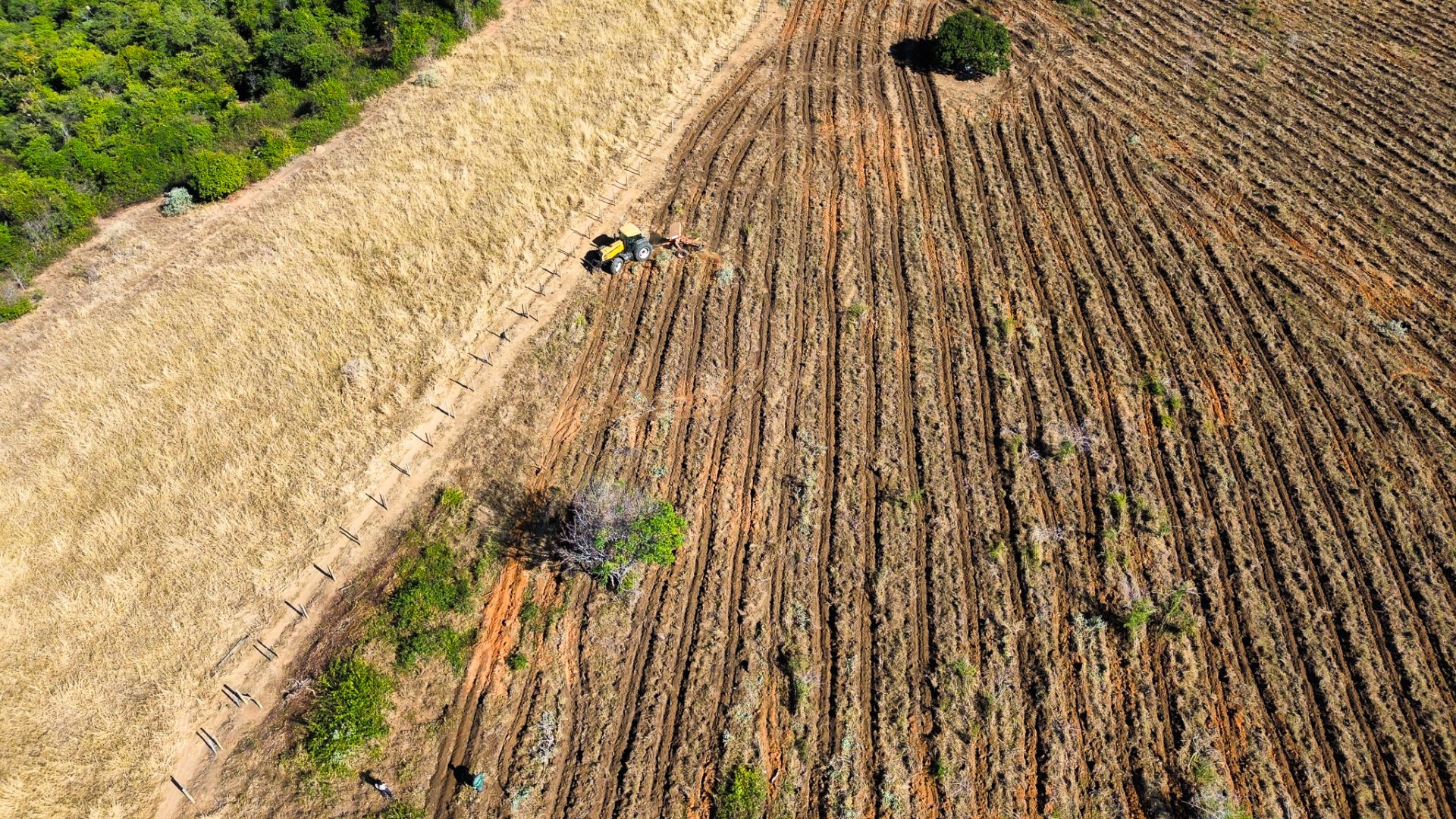 Programa Agroecológico do MST vai reflorestar 2 mil hectares no Vale do Rio Doce