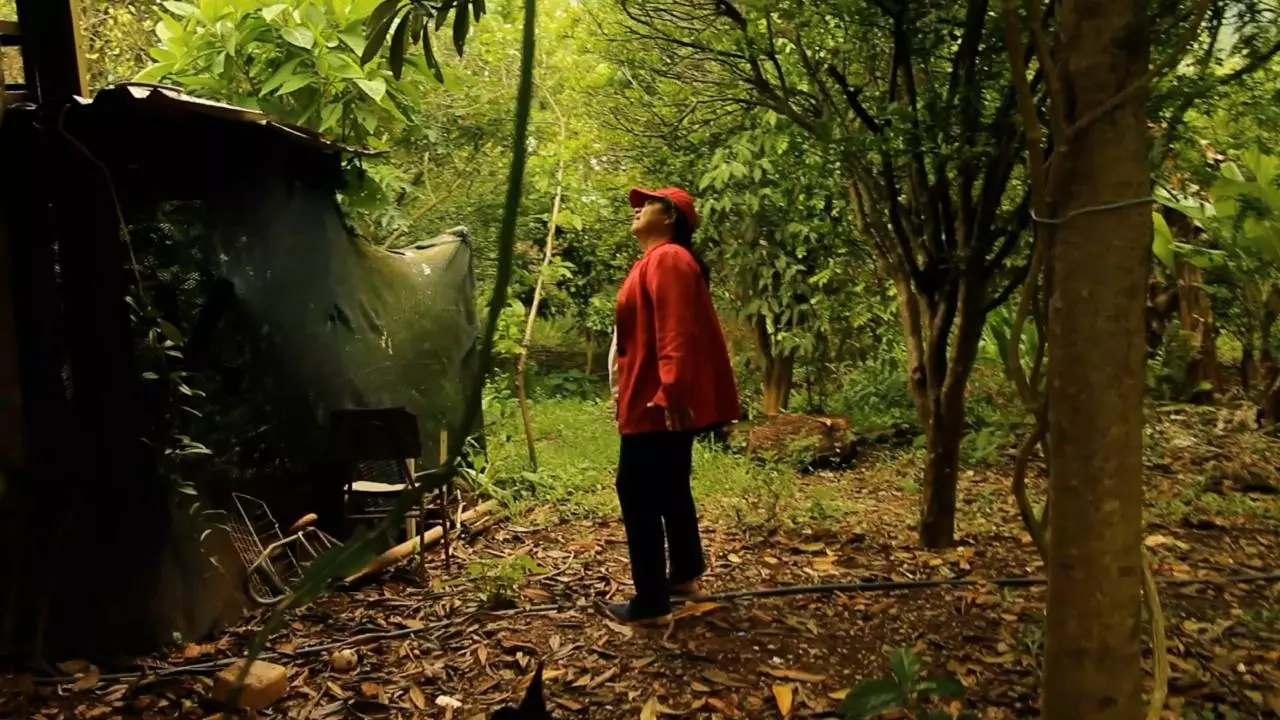 Curta sobre a luta do MST vence prêmio e será exibido nesta quarta (11) na TV Cultura