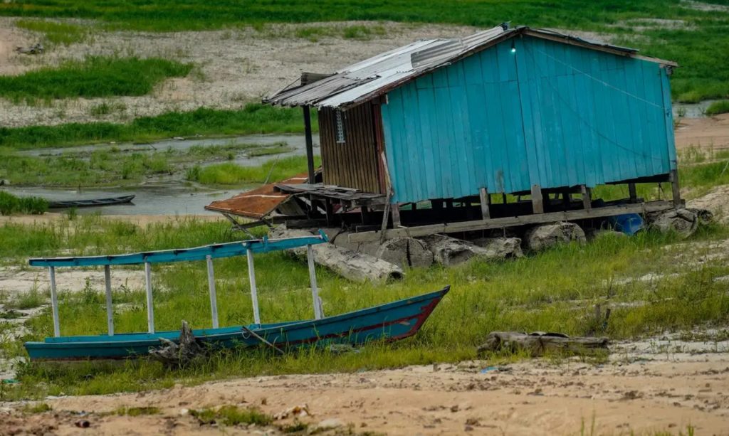 COP-30 na Amazônia está servindo a quem?