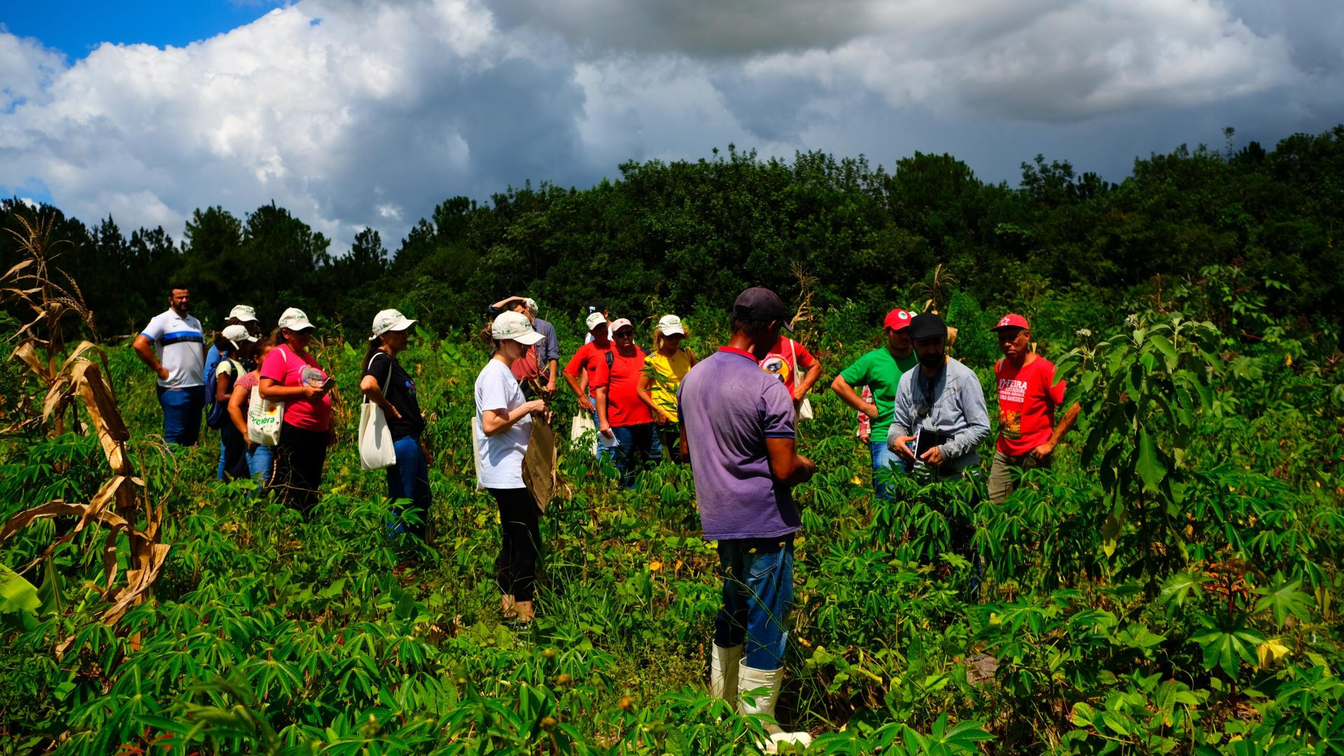 Conheça 5 experiências da Reforma Agrária na região de Bauru, SP