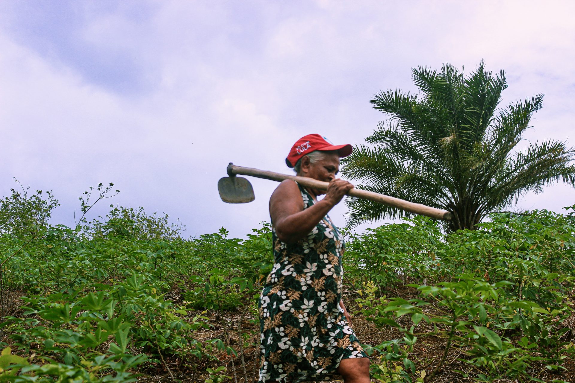 Acampamento do MST ameaçado por pistoleiros tem 20 anos de resistência em Joaquim Gomes (AL)