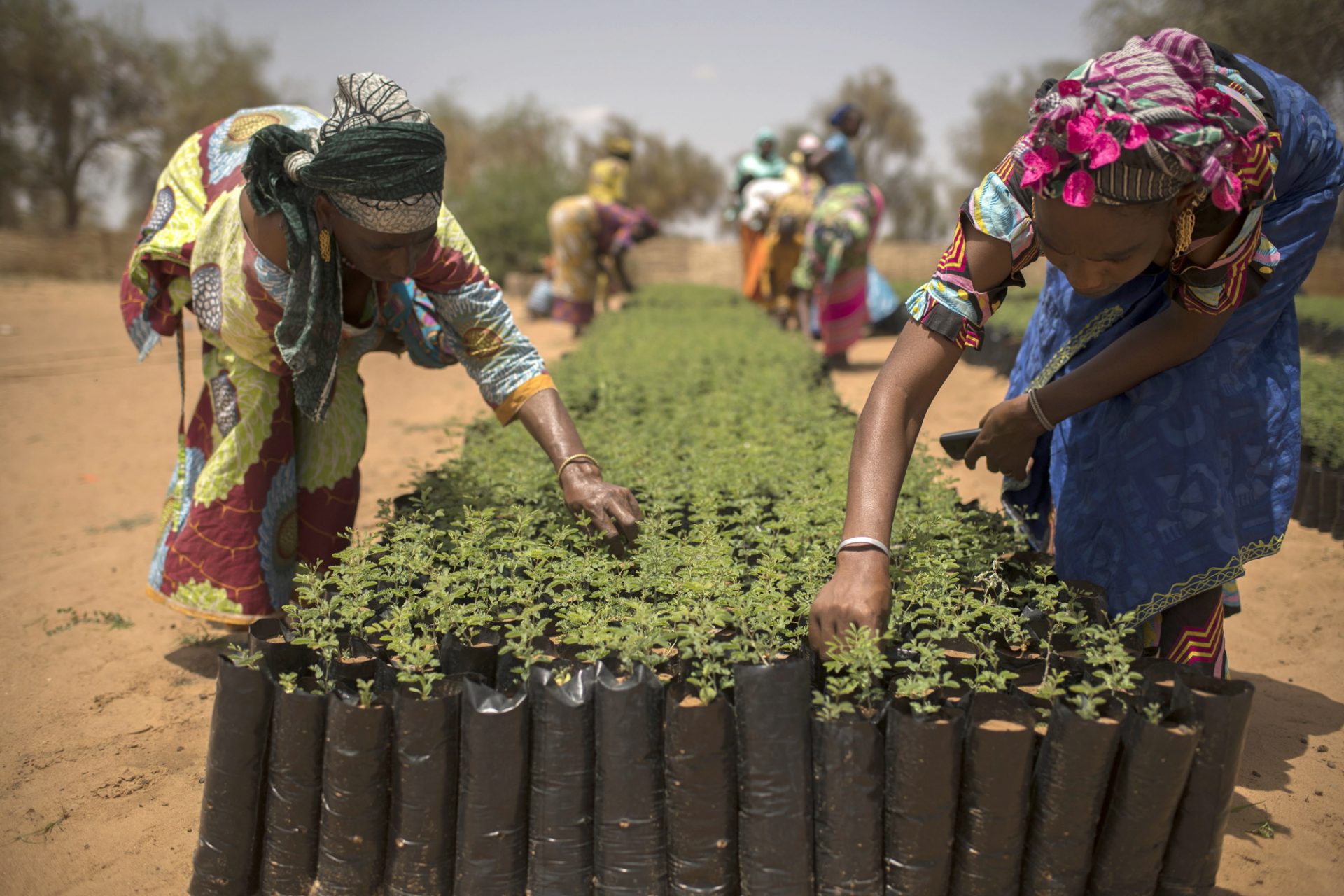 A disputa pelo Sahel e a resistência popular!