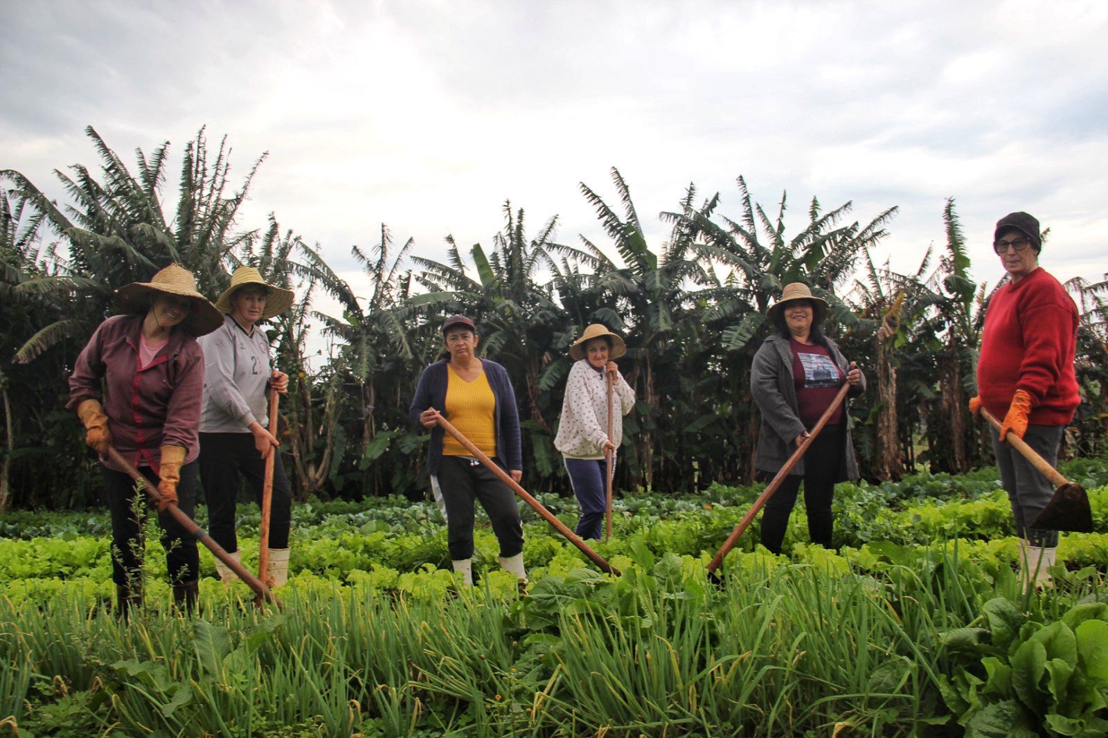 Mulheres Sem Terra: força, resistência e sabor na produção agroecológica
