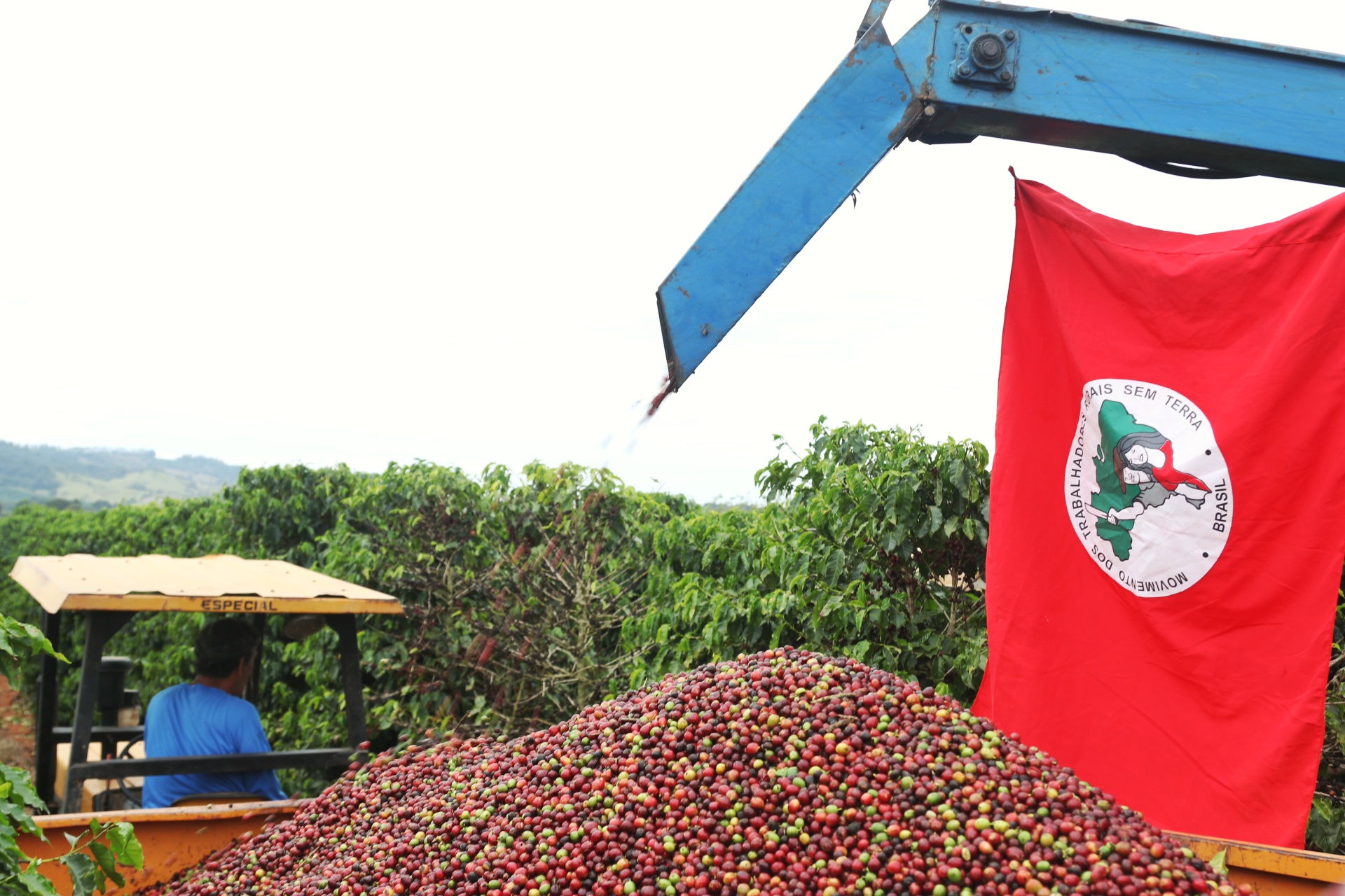 O café no Brasil: a concentração de terras e as alternativas da Reforma Agrária Popular