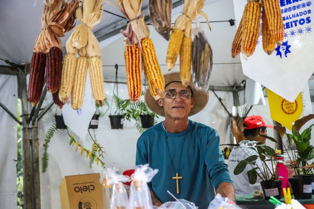 Sementes e mudas de árvores nativas como cadeia produtiva: cuidar dos bens comuns e gerar renda para a agricultura familiar