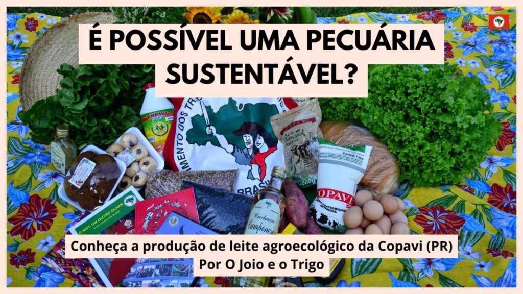A pecuária pode ser sustentável? A produção agroecológica de leite de Copavi
