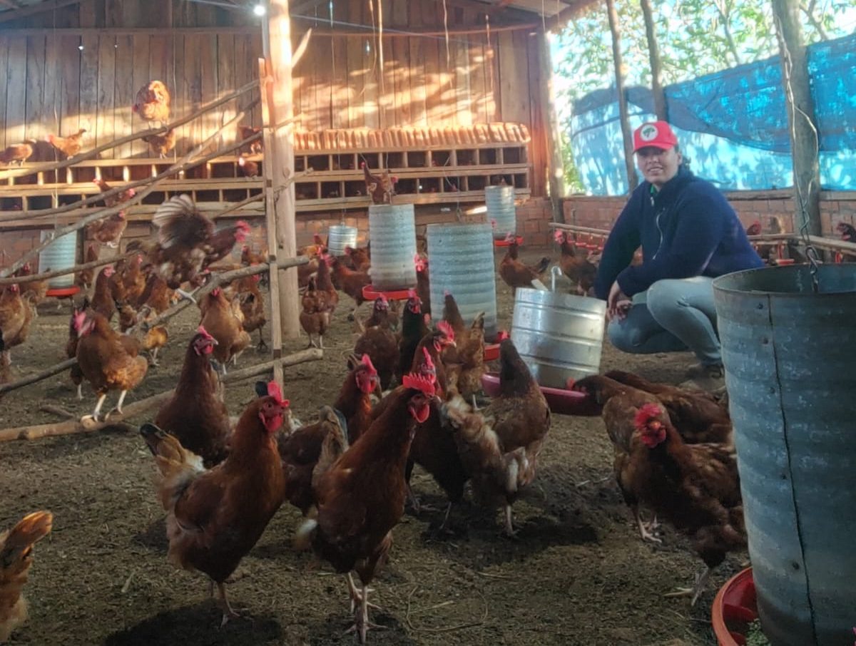 Produção agroecológica é alternativa a sistema cruel de produção de aves, causador de epidemias