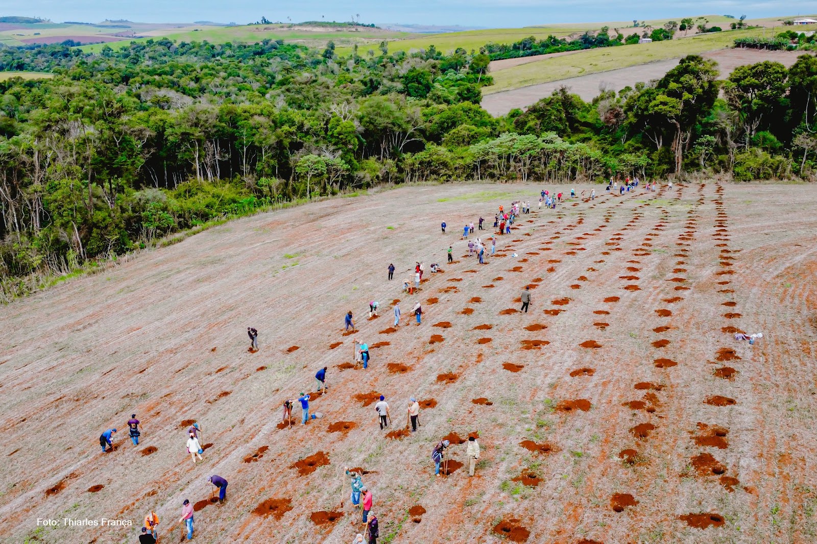 Comunidade do MST prepara plantio de 1 milhão de árvores, no Paraná
