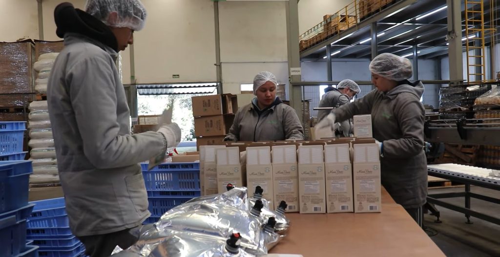 Terra Livre: Quando cooperar é cultivar Soberania Alimentar