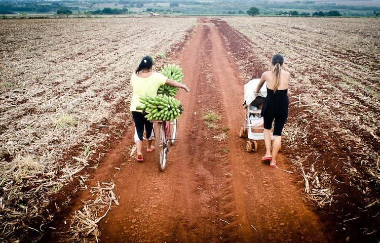 Como Lula 3 trata a agricultura familiar