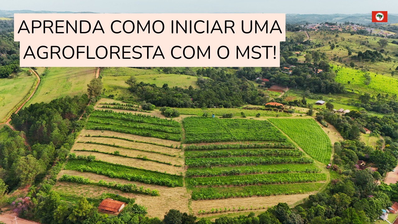 Como iniciar uma agrofloresta com o MST
