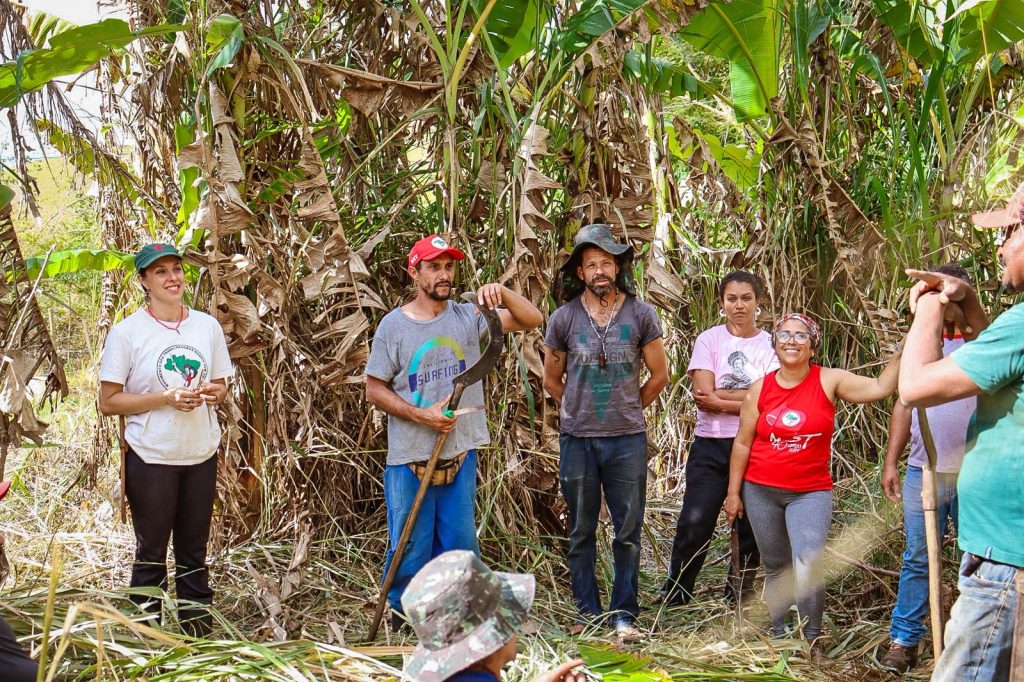 Campanha “Registros da Terra”: a massificação da Agroecologia na Mata Atlântica