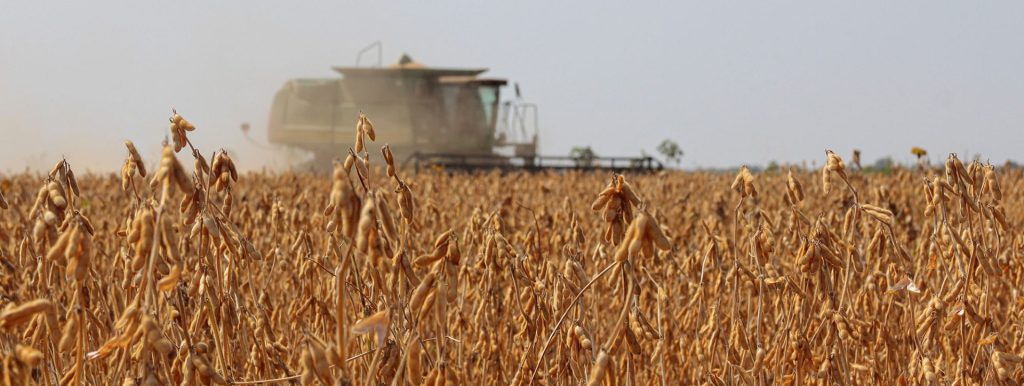 Modelo econômico que privilegia o agronegócio empurra a população para a fome, dizem pesquisadores