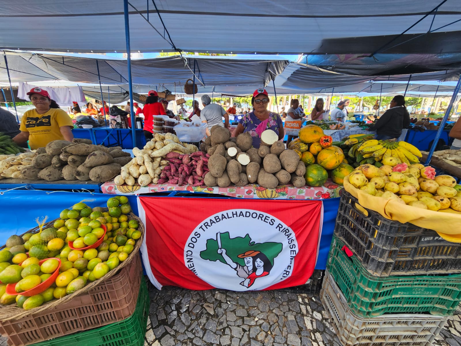 Feira do MST no Sergipe reuniu agricultura familiar e cultura popular em Aracaju