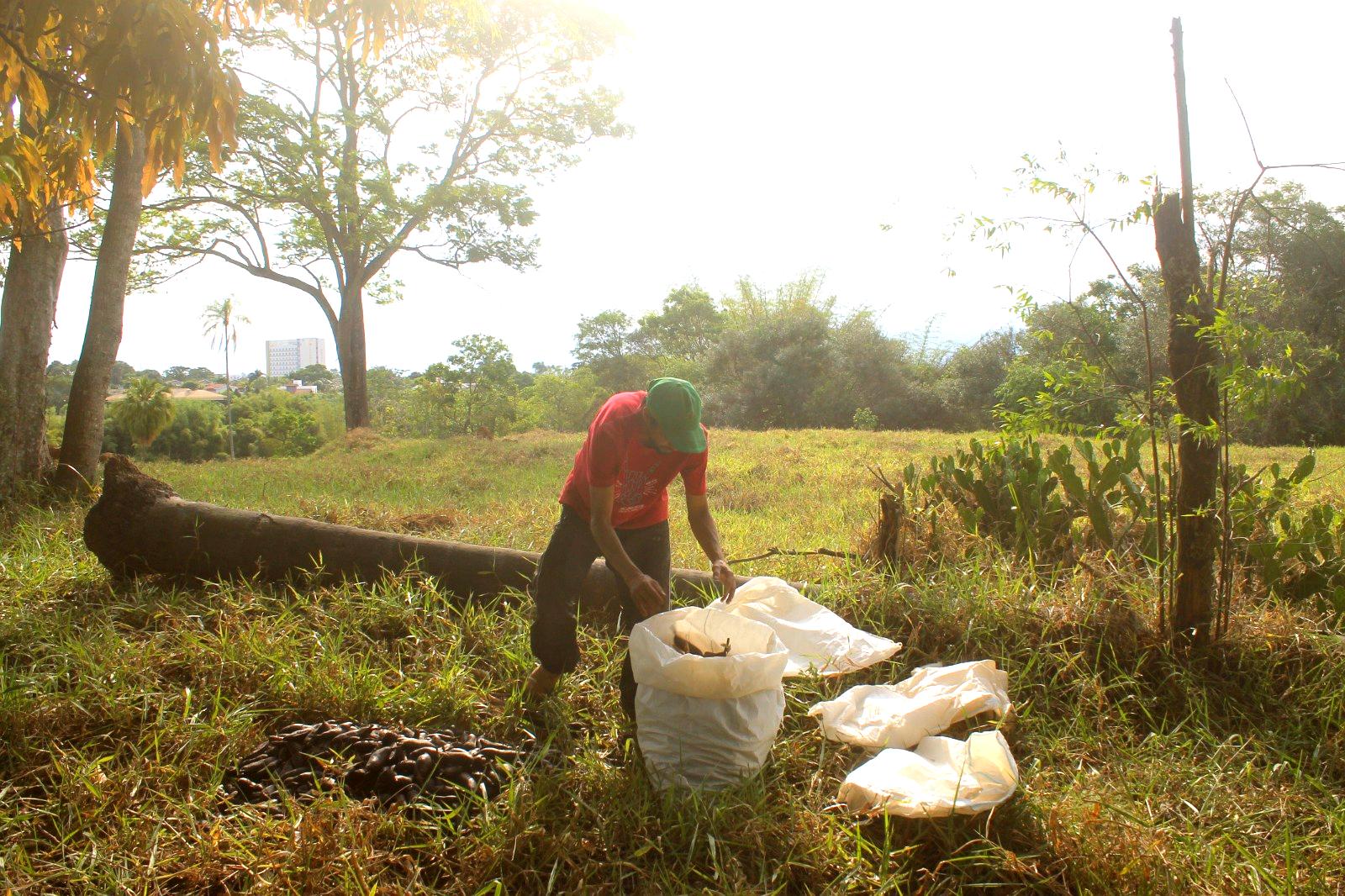 Reforma Agrária e a conservação da Mata Atlântica e do Cerrado no Vale do Paraíba, SP